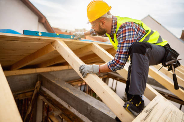 Best Roof Gutter Cleaning  in Stonecrest, GA